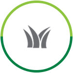 Serviços - Capina Química ou Saneamento Vegetal